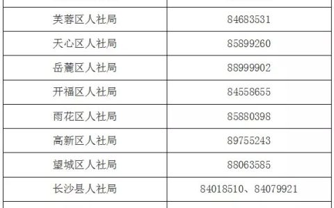 长沙小微企业招用未就业高校毕业生社会保险补贴申请指南