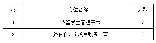 湖南长沙理工大学国际工学院招聘公告