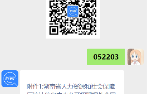 2023年湖南省人力资源和社会保障厅统计信息中心招聘方案
