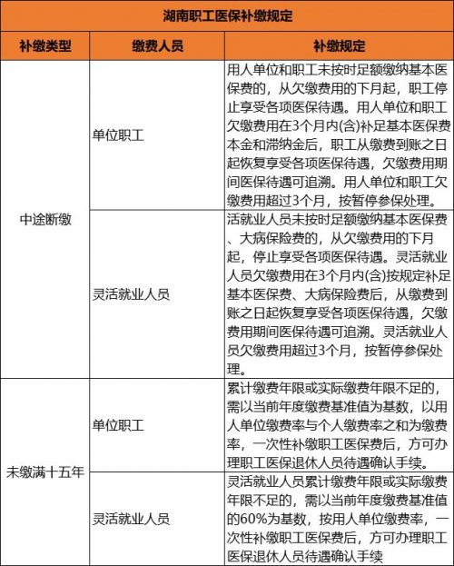 湖南省职工医保补缴政策规定（单位职工+灵活就业）