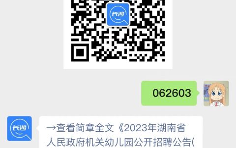 2023年湖南省人民政府机关幼儿园公开招聘公告(12人)