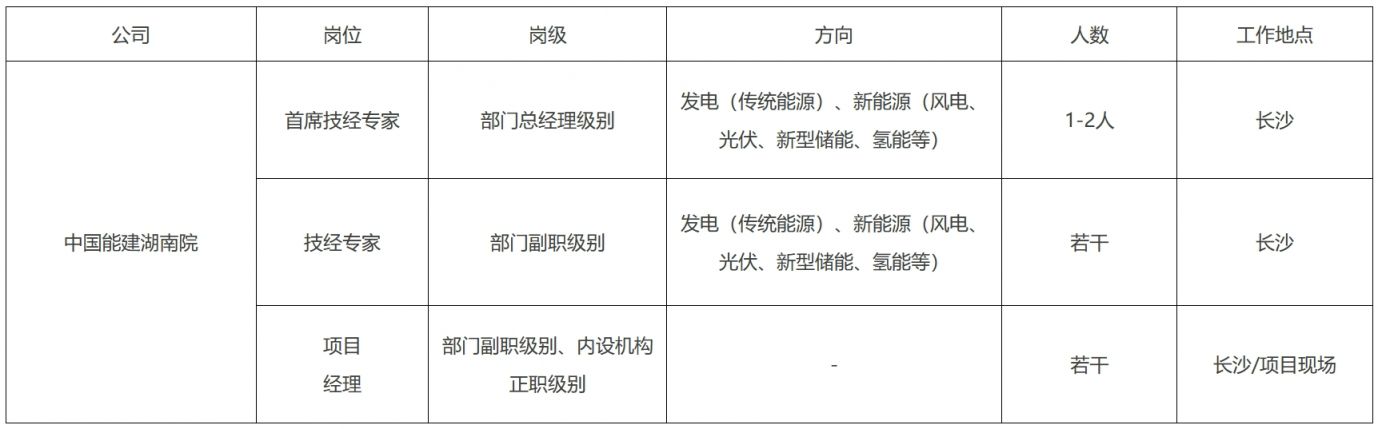 2024中国能建湖南院高层次人才招聘公告：岗位、报名和待遇详情