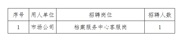 湖南人才市场有限公司公开招聘公告