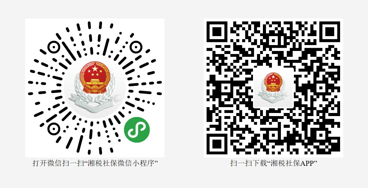 长沙城乡居民社保缴费记录查询：线上入口及流程详解