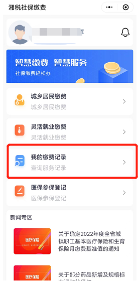 长沙城乡居民社保缴费记录查询：线上入口及流程详解