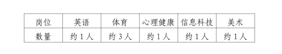 湖南湘江新区南雅求实中学编外合同制教师招聘公告