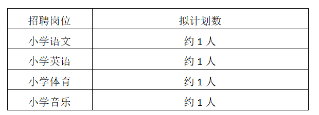 长沙市一中金山桥第二附属小学（长沙市望城区星城实验第二小学）编外合同制教师招聘公告